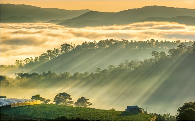 Du lịch Đà Lạt mùa thu, khám phá vẻ đẹp lãng mạn khiến bao người mê mẩn