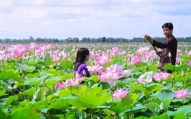 Top 10 địa điểm check-in Đồng Tháp thu hút đông đảo du khách tham quan