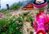 Du lịch Sapa